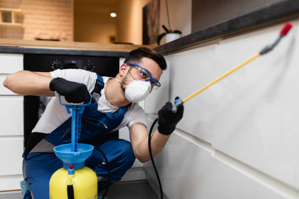 Trusted New Lebanon, OH Pest Control Experts