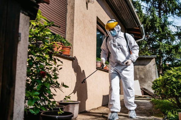 Best Pest Prevention Services  in New Lebanon, OH