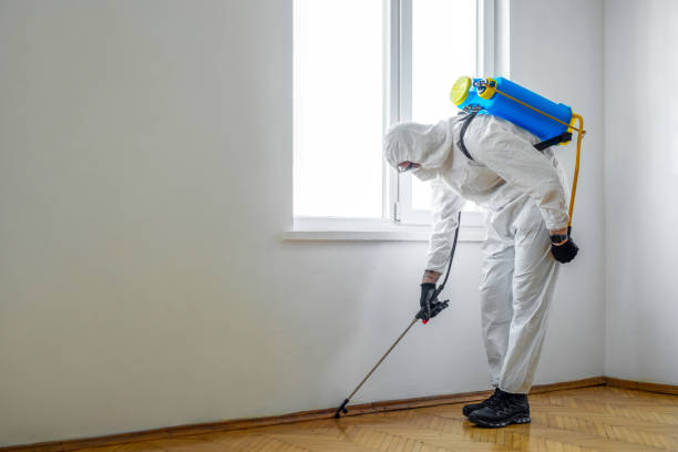 Best Local Pest Control Services  in New Lebanon, OH