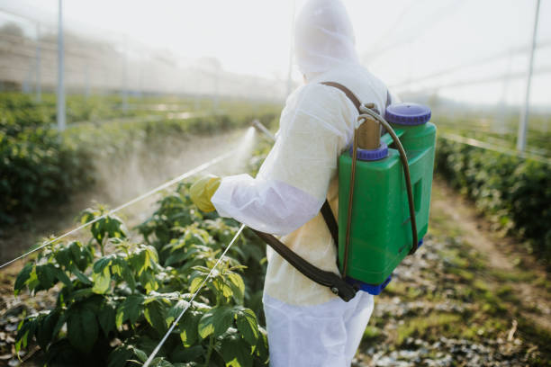 Best Pest Control Near Me  in New Lebanon, OH